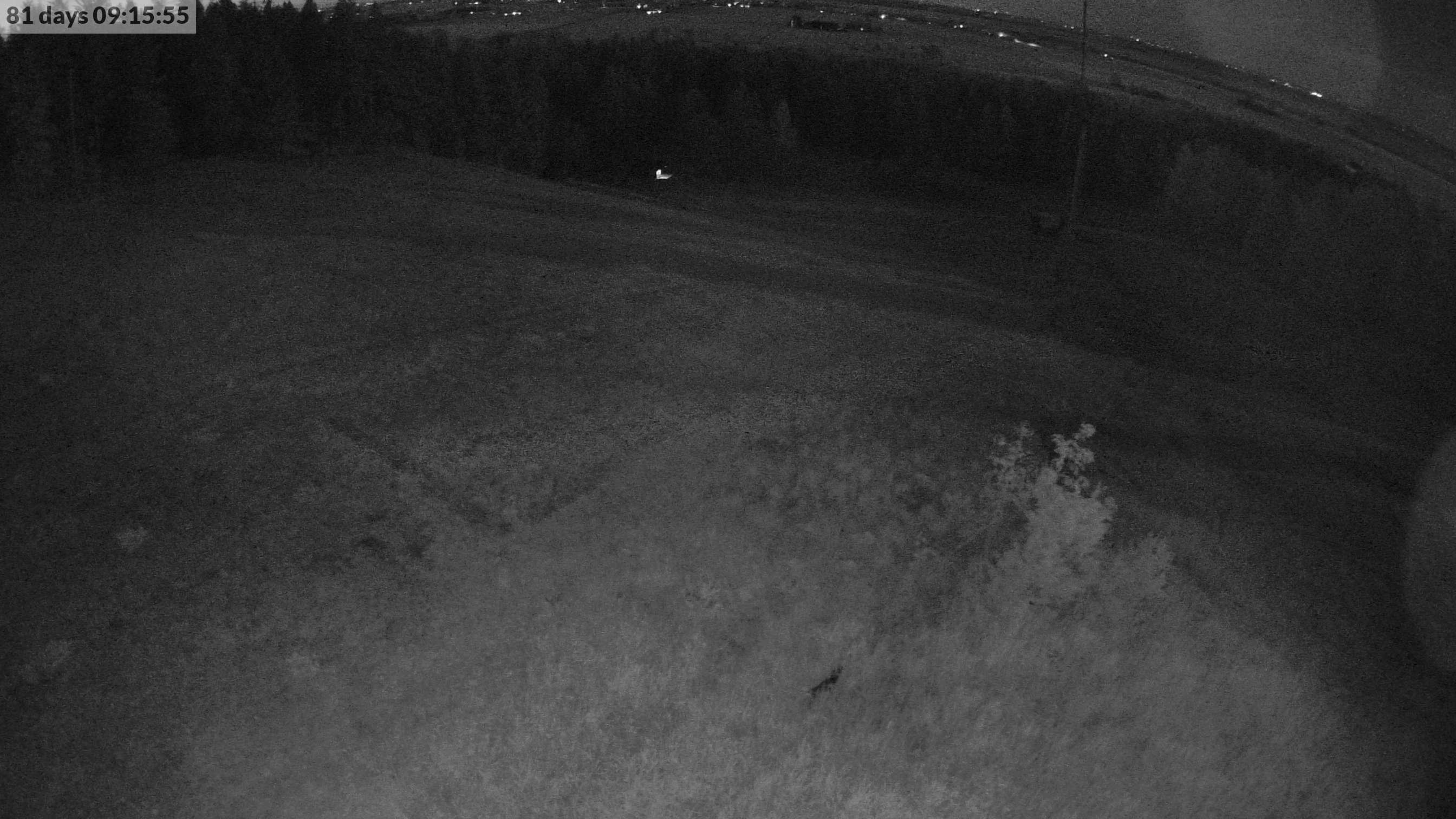 Webcam Ombergsliden, Vadstena, Östergötland, Schweden